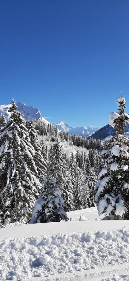 Studio Marmotte Font-Romeu 4 Personnes Avec Balcon Residence Val Soleil Entierement Renove En Juin 2021 Place De Parking & Wifi Gratuit , Draps & Serviettes De Toilettes Non Inclus, Sabanas Y Toallas No Incluidos 외부 사진