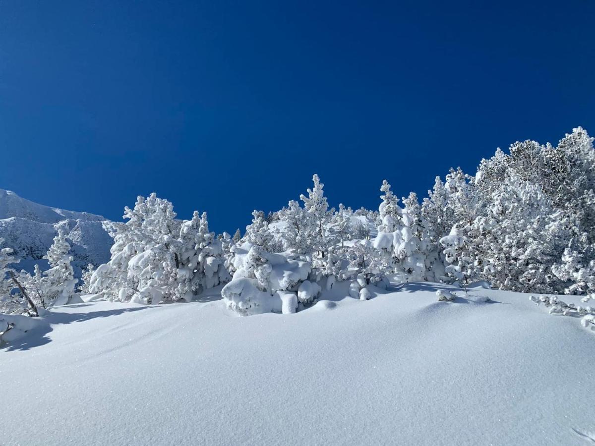 Studio Marmotte Font-Romeu 4 Personnes Avec Balcon Residence Val Soleil Entierement Renove En Juin 2021 Place De Parking & Wifi Gratuit , Draps & Serviettes De Toilettes Non Inclus, Sabanas Y Toallas No Incluidos 외부 사진